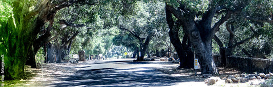 A DIFFERENT STREET