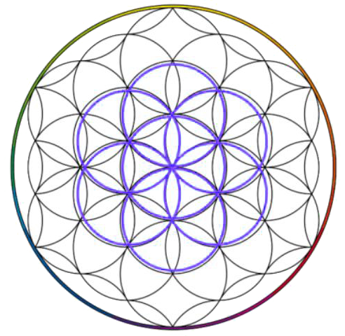 Evolve Tarot Companion