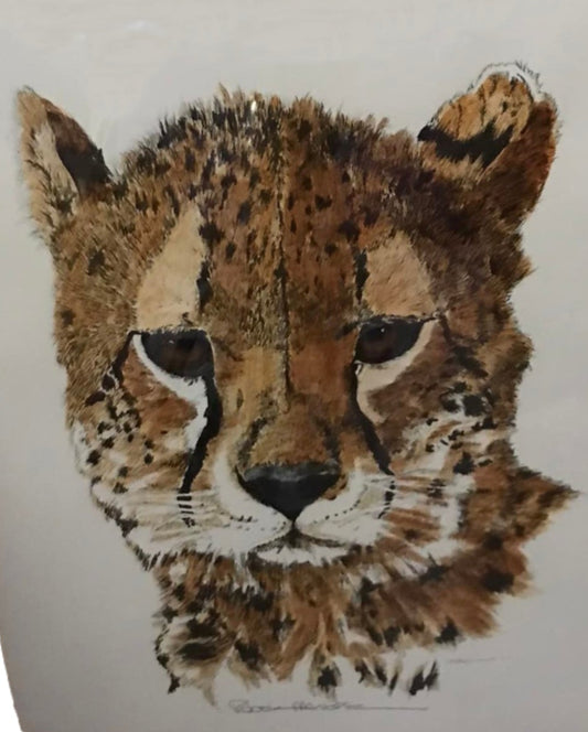 Wild Cat Suite